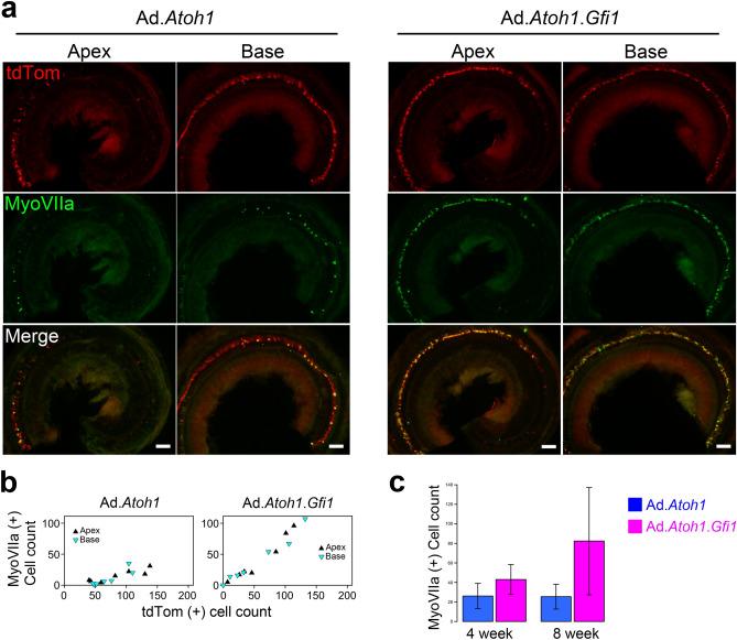 https://cdn.ncbi.nlm.nih.gov/pmc/blobs/a9ec/7722738/b949905149e1/41598_2020_78167_Fig4_HTML.jpg