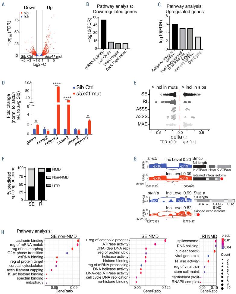 https://cdn.ncbi.nlm.nih.gov/pmc/blobs/a9f1/8883538/58e5e788eece/107644.fig3.jpg