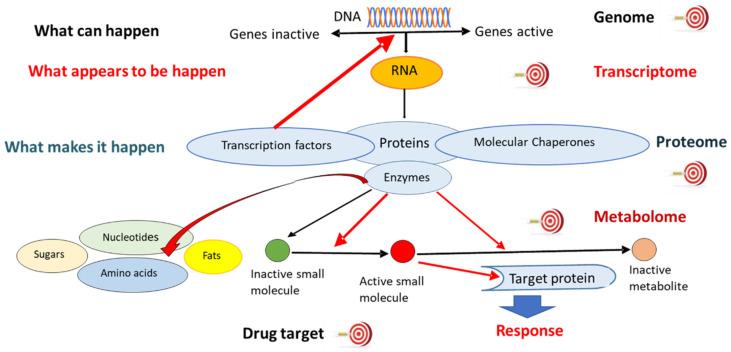 https://cdn.ncbi.nlm.nih.gov/pmc/blobs/aa01/9504187/04850da58984/pharmaceuticals-15-01051-g001.jpg