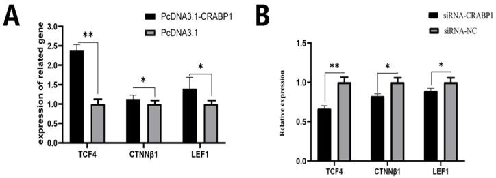 https://cdn.ncbi.nlm.nih.gov/pmc/blobs/aa03/11507202/f60762ba294e/genes-15-01291-g005.jpg