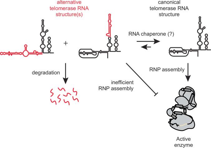 https://cdn.ncbi.nlm.nih.gov/pmc/blobs/aa11/11754830/7c48287cb782/41467_2025_56149_Fig10_HTML.jpg