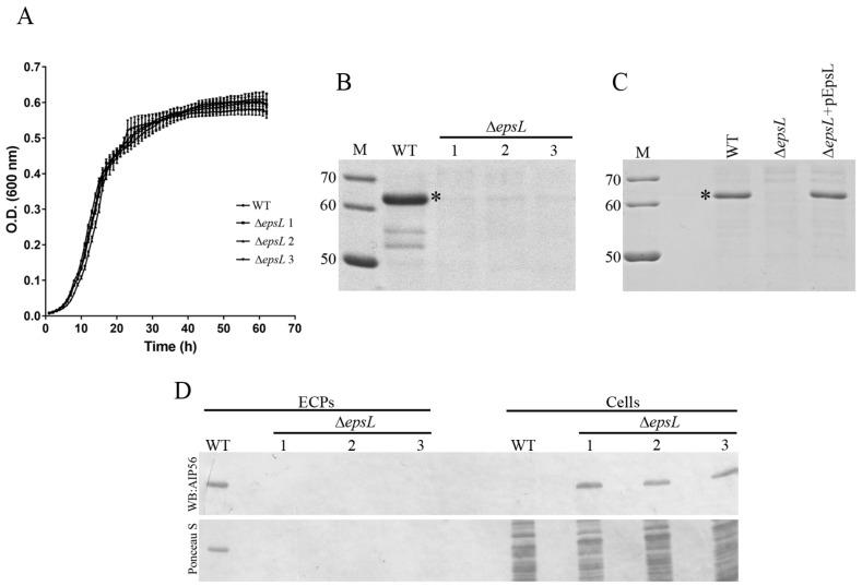 https://cdn.ncbi.nlm.nih.gov/pmc/blobs/aa3e/5705983/d79c49131e05/toxins-09-00368-g002.jpg