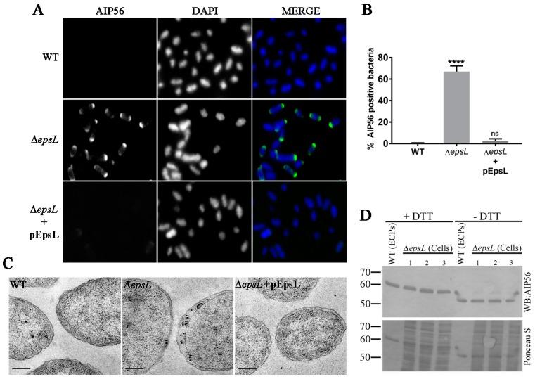 https://cdn.ncbi.nlm.nih.gov/pmc/blobs/aa3e/5705983/e5f1ef890e94/toxins-09-00368-g003.jpg