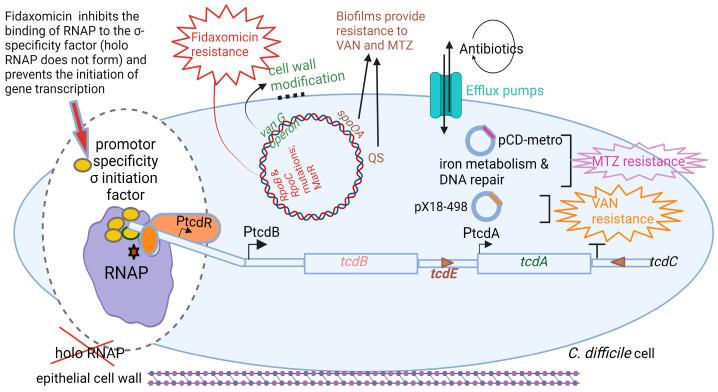 https://cdn.ncbi.nlm.nih.gov/pmc/blobs/aa4d/10534356/1766a6cdef79/microorganisms-11-02161-g005.jpg