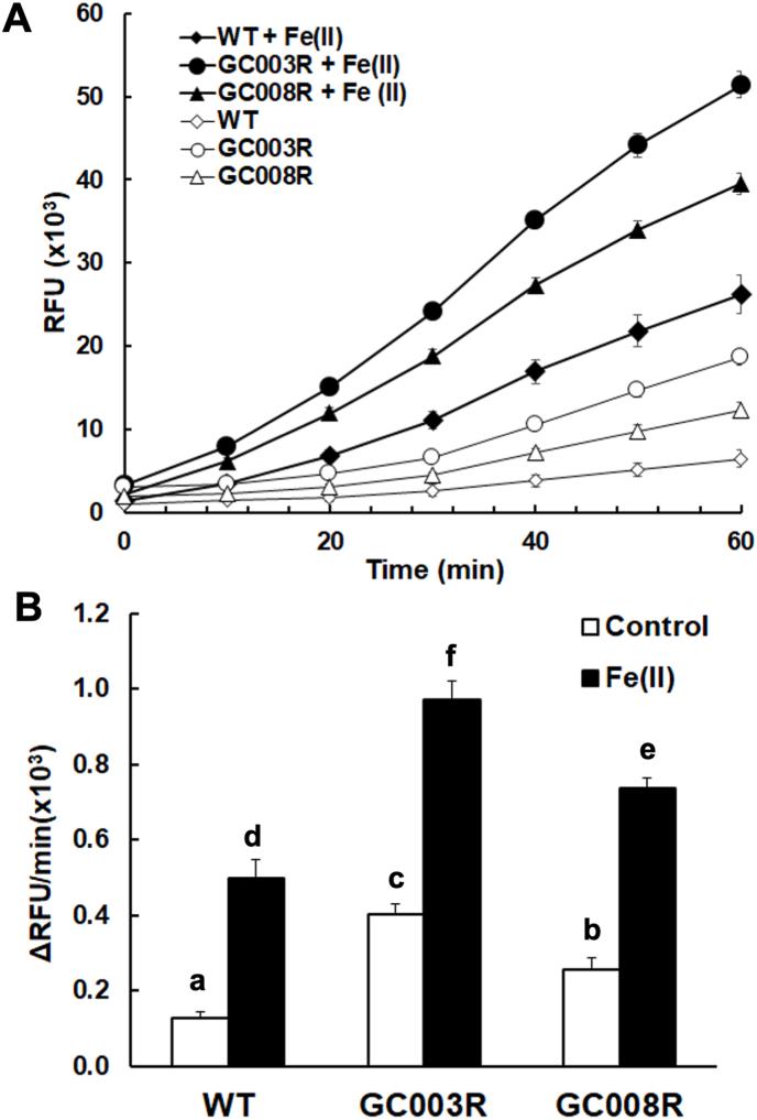 https://cdn.ncbi.nlm.nih.gov/pmc/blobs/aa78/9763631/ce69883c7f08/gr10.jpg