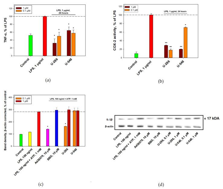 https://cdn.ncbi.nlm.nih.gov/pmc/blobs/aa8e/9864473/b9f6c2290a9b/toxins-15-00047-g006.jpg