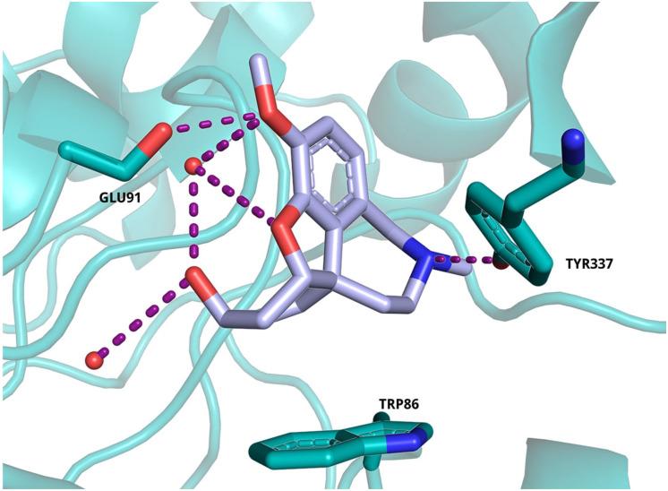 https://cdn.ncbi.nlm.nih.gov/pmc/blobs/aabc/11356821/3f8eee53b002/molecules-29-03748-g010.jpg