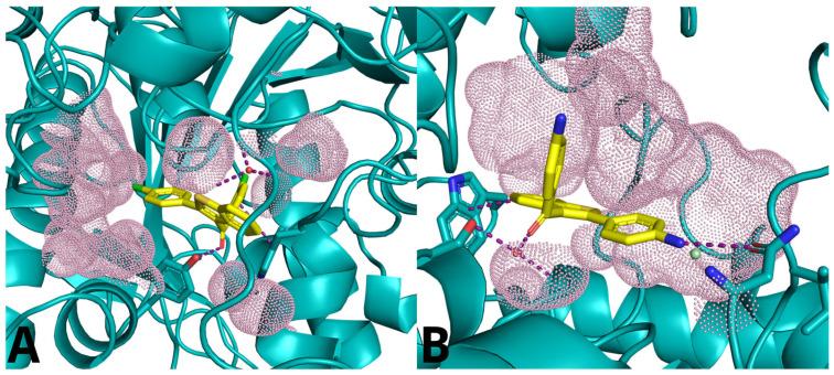 https://cdn.ncbi.nlm.nih.gov/pmc/blobs/aabc/11356821/768968c4a531/molecules-29-03748-g012.jpg