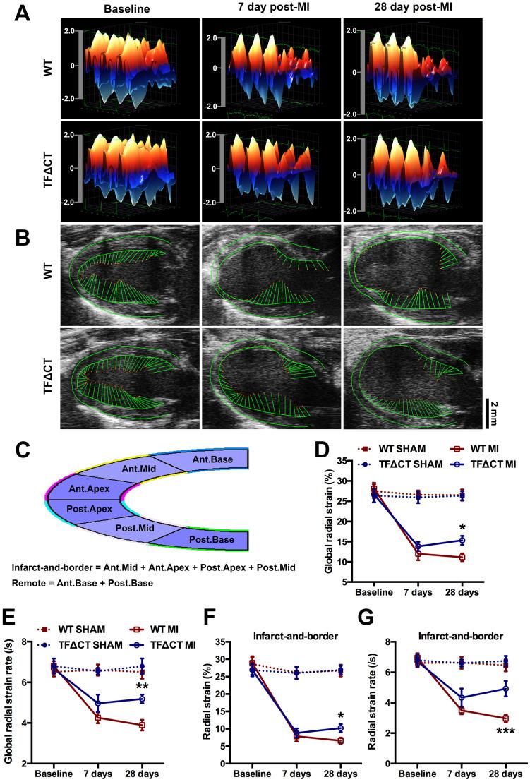 https://cdn.ncbi.nlm.nih.gov/pmc/blobs/aabd/8490508/9d9e6cf87f3d/thnov11p9243g002.jpg