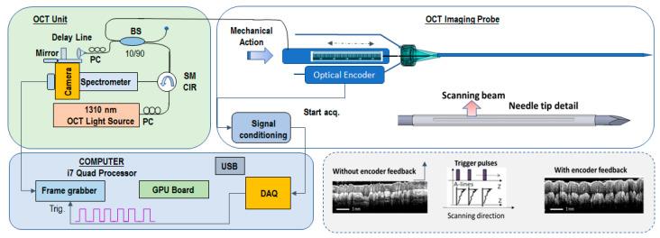 https://cdn.ncbi.nlm.nih.gov/pmc/blobs/aabe/10340503/8c2c8546e1f4/diagnostics-13-02276-g001.jpg