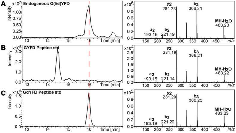 https://cdn.ncbi.nlm.nih.gov/pmc/blobs/aac0/8615943/42de5e4de1a8/biomolecules-11-01716-g002.jpg