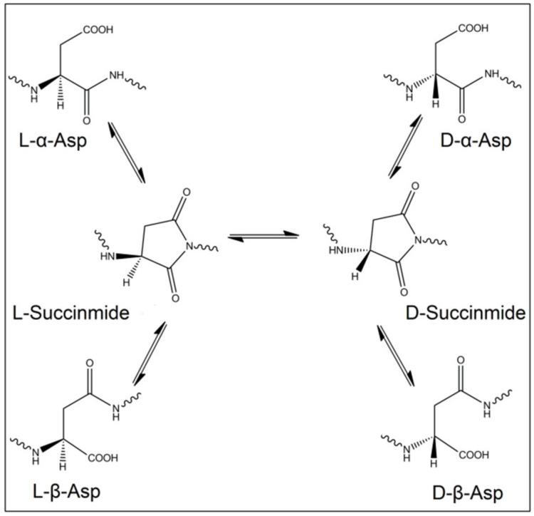 https://cdn.ncbi.nlm.nih.gov/pmc/blobs/aac0/8615943/fced12be0227/biomolecules-11-01716-g001.jpg