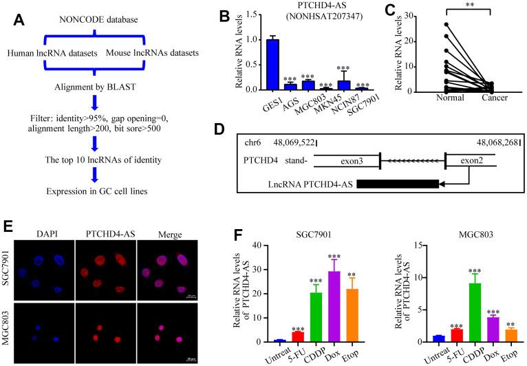 https://cdn.ncbi.nlm.nih.gov/pmc/blobs/aace/10713396/2ac90c6c9877/aging-15-205329-g001.jpg