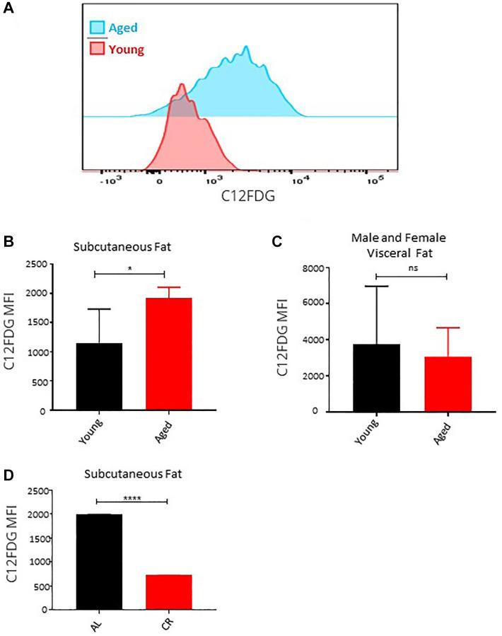 https://cdn.ncbi.nlm.nih.gov/pmc/blobs/aadb/11131987/3374ed1bd3ee/aging-16-205812-g005.jpg