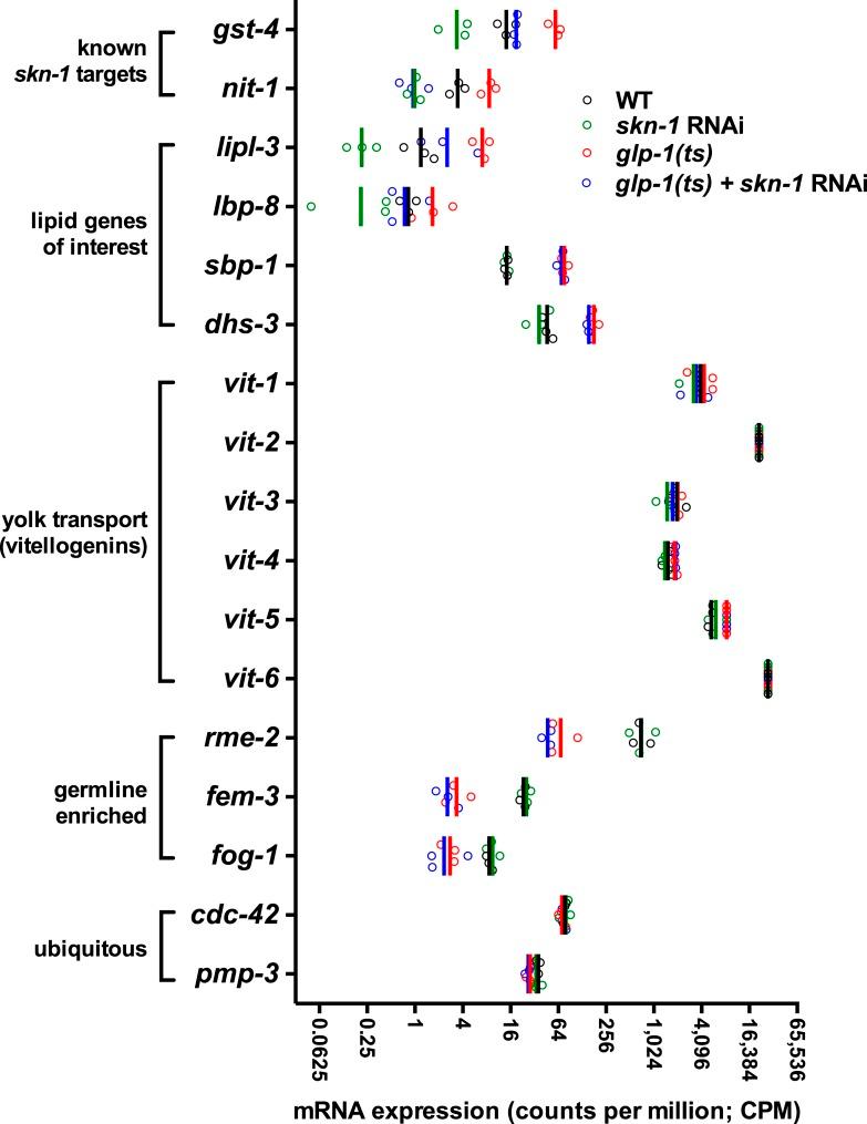 https://cdn.ncbi.nlm.nih.gov/pmc/blobs/aade/4541496/46681e280388/elife-07836-fig5-figsupp3.jpg