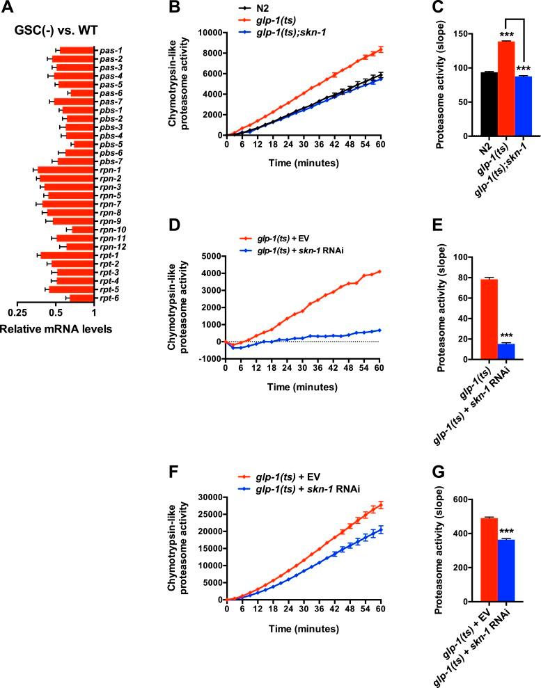 https://cdn.ncbi.nlm.nih.gov/pmc/blobs/aade/4541496/564342a60b2b/elife-07836-fig4-figsupp1.jpg