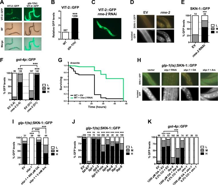 https://cdn.ncbi.nlm.nih.gov/pmc/blobs/aade/4541496/6b4f39e99ca5/elife-07836-fig6.jpg