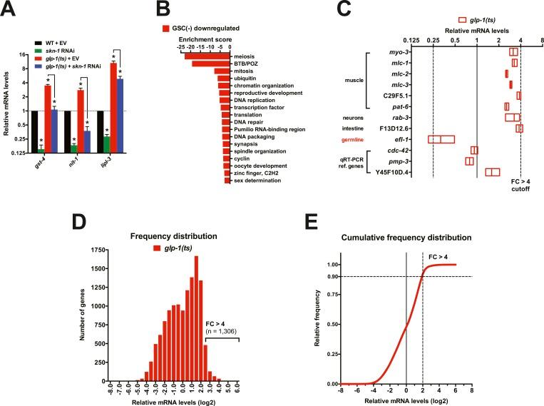 https://cdn.ncbi.nlm.nih.gov/pmc/blobs/aade/4541496/6d1d3992abb2/elife-07836-fig3-figsupp1.jpg