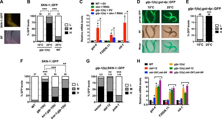 https://cdn.ncbi.nlm.nih.gov/pmc/blobs/aade/4541496/cd223135afd3/elife-07836-fig2.jpg