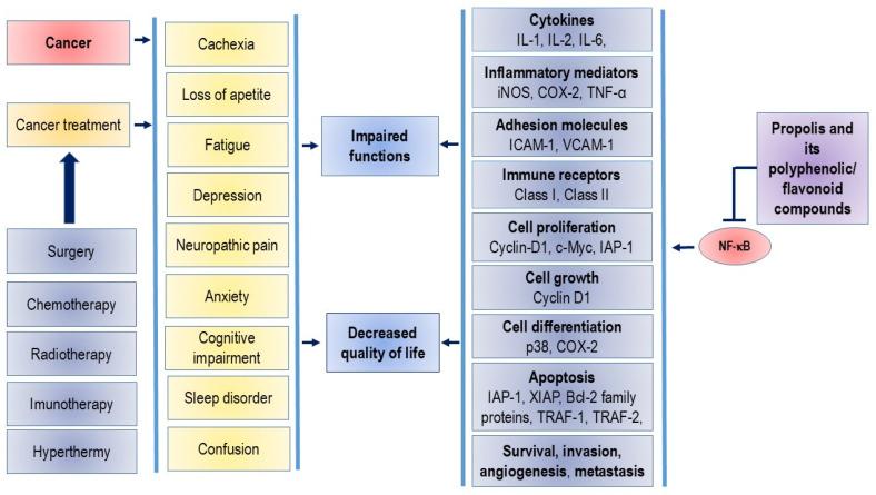 https://cdn.ncbi.nlm.nih.gov/pmc/blobs/aae3/11547968/1202db288829/nutrients-16-03741-g001.jpg
