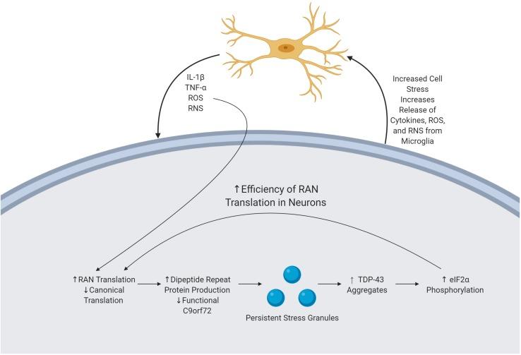 https://cdn.ncbi.nlm.nih.gov/pmc/blobs/aaf4/6914852/e733edc02993/fnins-13-01298-g002.jpg