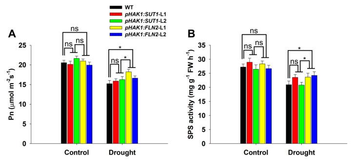 https://cdn.ncbi.nlm.nih.gov/pmc/blobs/aafb/10889344/52c0fd39b2f9/ijms-25-02158-g004.jpg