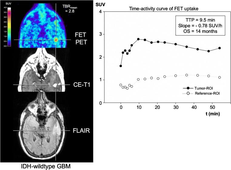 https://cdn.ncbi.nlm.nih.gov/pmc/blobs/ab06/7188701/04eaa820fd13/259_2020_4695_Fig2_HTML.jpg