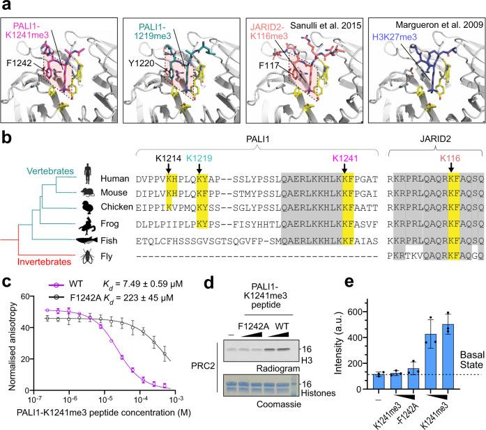 https://cdn.ncbi.nlm.nih.gov/pmc/blobs/ab13/8319299/defcaf06a7ac/41467_2021_24866_Fig4_HTML.jpg