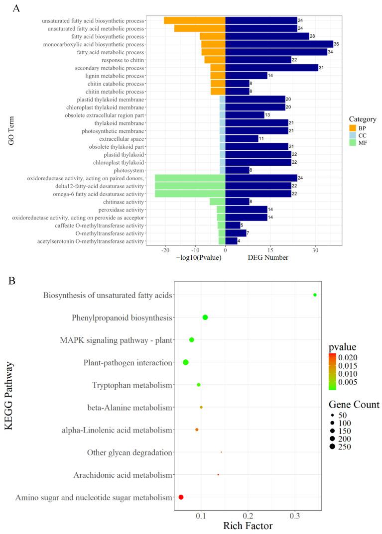 https://cdn.ncbi.nlm.nih.gov/pmc/blobs/ab15/11642675/5151a500abbd/ijms-25-13106-g005.jpg