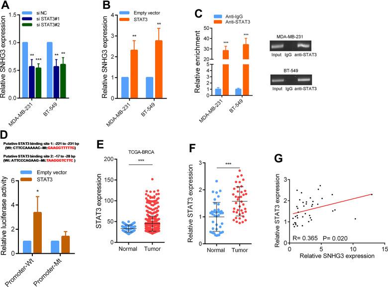 https://cdn.ncbi.nlm.nih.gov/pmc/blobs/ab23/10333090/8fac78f03195/aging-15-204824-g002.jpg