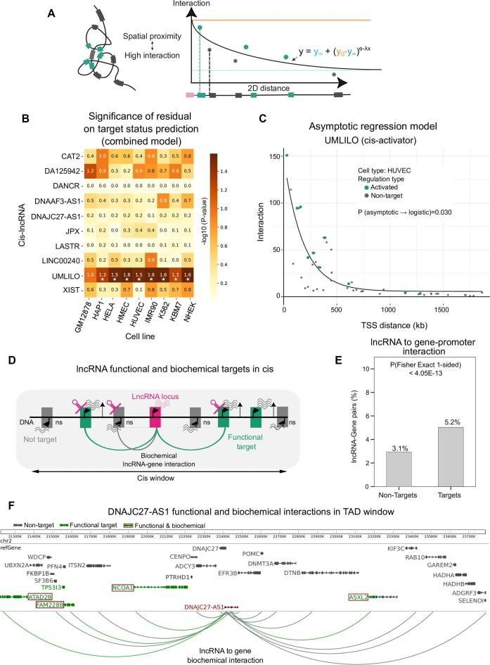 https://cdn.ncbi.nlm.nih.gov/pmc/blobs/ab2b/11014264/f2b7dce497e9/gkae075fig6.jpg