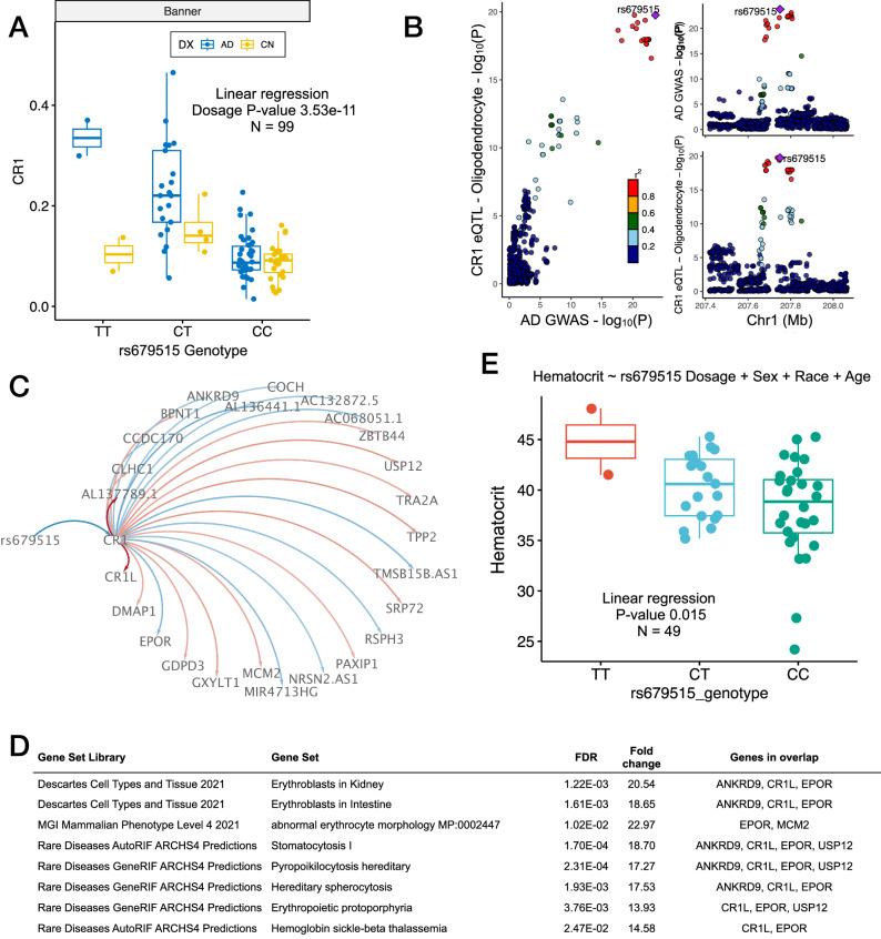 https://cdn.ncbi.nlm.nih.gov/pmc/blobs/ab75/11237088/560f4a1987e6/41467_2024_49790_Fig3_HTML.jpg