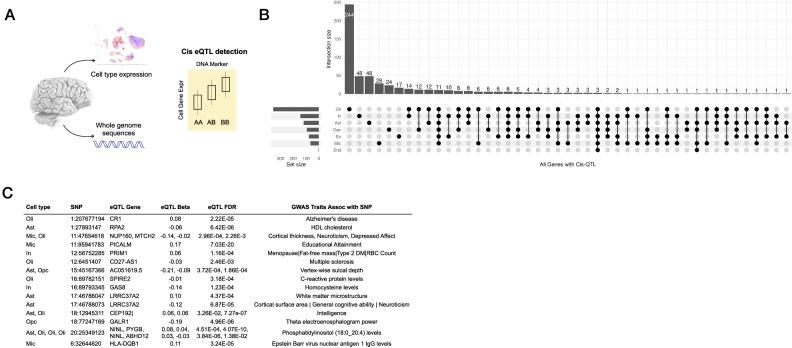 https://cdn.ncbi.nlm.nih.gov/pmc/blobs/ab75/11237088/84137bdf00c1/41467_2024_49790_Fig2_HTML.jpg
