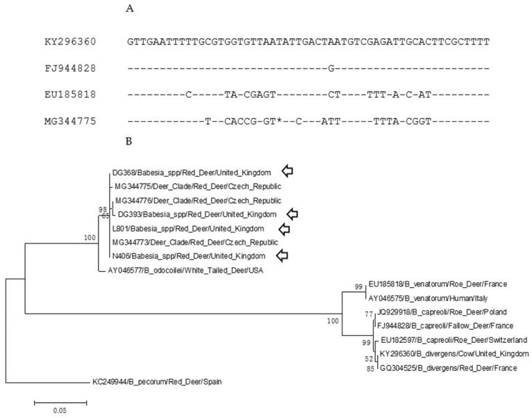 https://cdn.ncbi.nlm.nih.gov/pmc/blobs/ab9e/8224737/996cbaca5cb7/pathogens-10-00640-g001.jpg