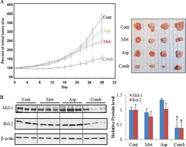 https://cdn.ncbi.nlm.nih.gov/pmc/blobs/aba4/4673260/8154ff5ca859/oncotarget-06-21208-g007.jpg