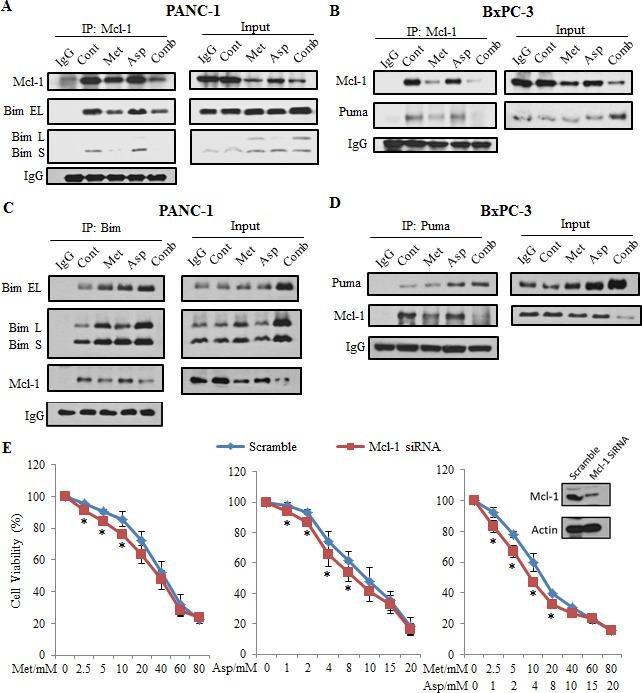 https://cdn.ncbi.nlm.nih.gov/pmc/blobs/aba4/4673260/89ff0a7ef263/oncotarget-06-21208-g006.jpg