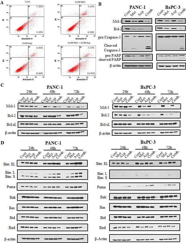 https://cdn.ncbi.nlm.nih.gov/pmc/blobs/aba4/4673260/fa00e1e6ddff/oncotarget-06-21208-g003.jpg