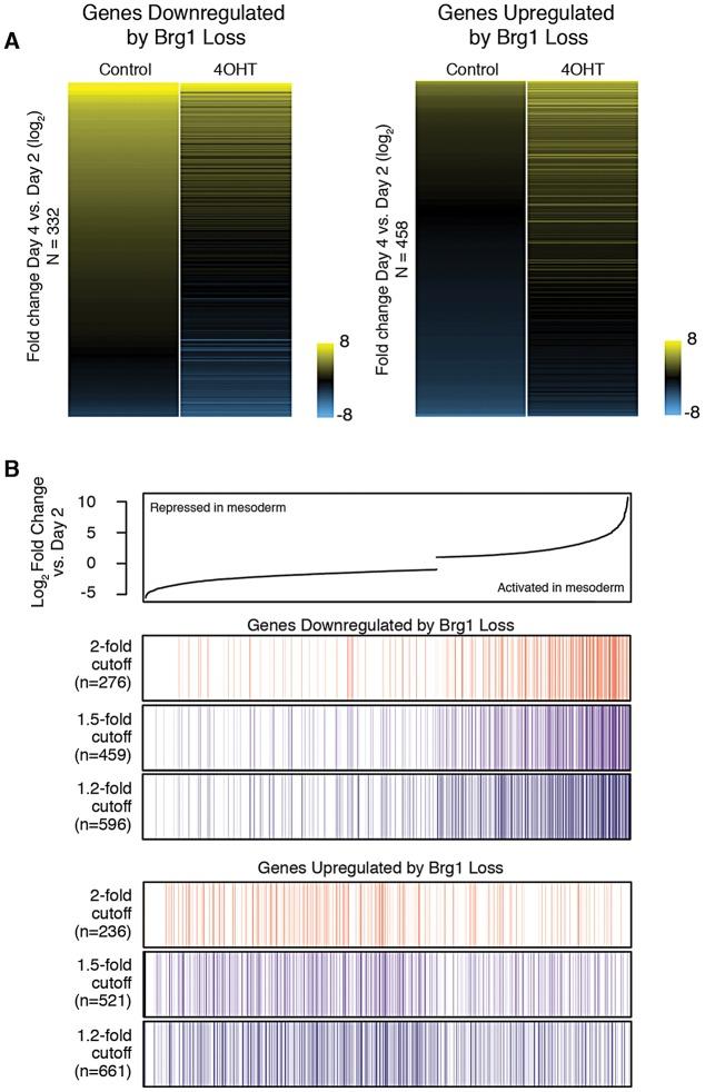 https://cdn.ncbi.nlm.nih.gov/pmc/blobs/abc9/4392595/56aabc58d27a/develop-142-109496-g4.jpg