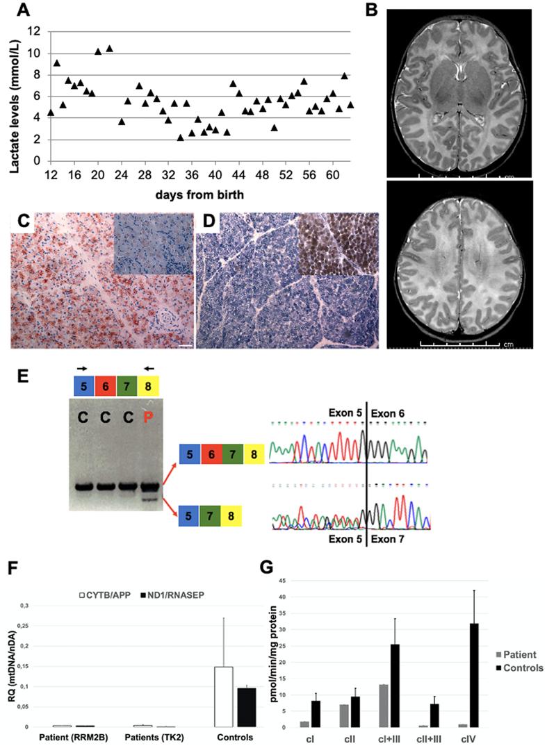 https://cdn.ncbi.nlm.nih.gov/pmc/blobs/abd2/9218228/5803747d5e2b/gr1.jpg