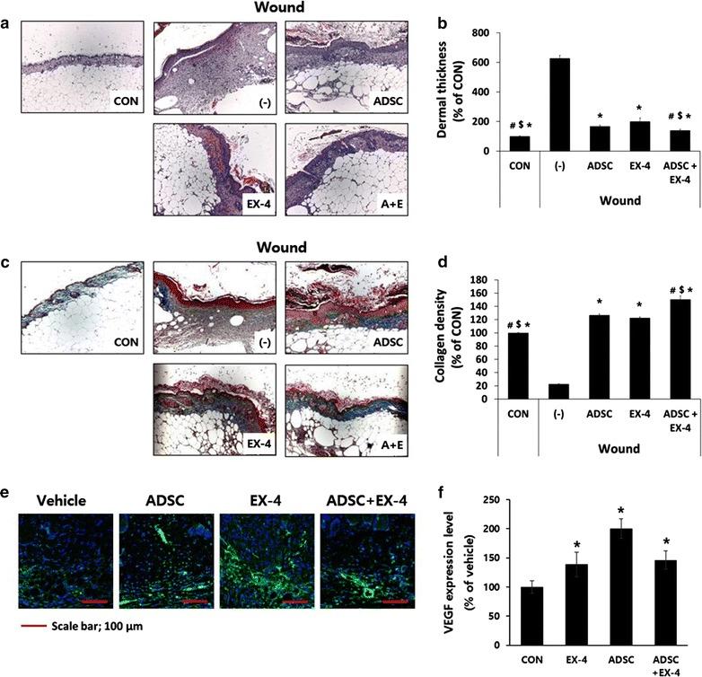 https://cdn.ncbi.nlm.nih.gov/pmc/blobs/abfd/5311833/35db7970b2a2/12967_2017_1145_Fig2_HTML.jpg