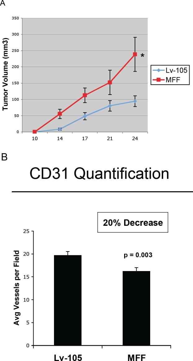 https://cdn.ncbi.nlm.nih.gov/pmc/blobs/ac09/3478457/0106fe42619a/oncotarget-08-798-g007.jpg