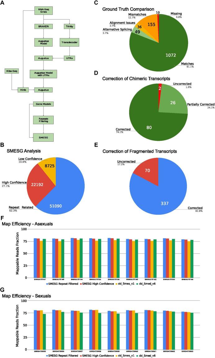 https://cdn.ncbi.nlm.nih.gov/pmc/blobs/ac26/6324014/1be05b2599fc/gky1070fig1.jpg