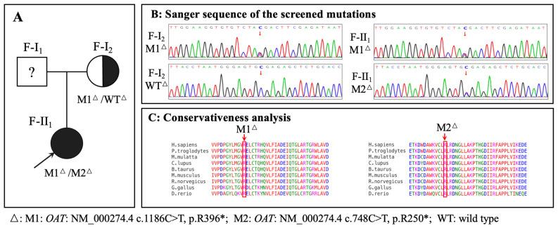 https://cdn.ncbi.nlm.nih.gov/pmc/blobs/ac2f/11353755/f3679208d078/genes-15-01020-g001.jpg