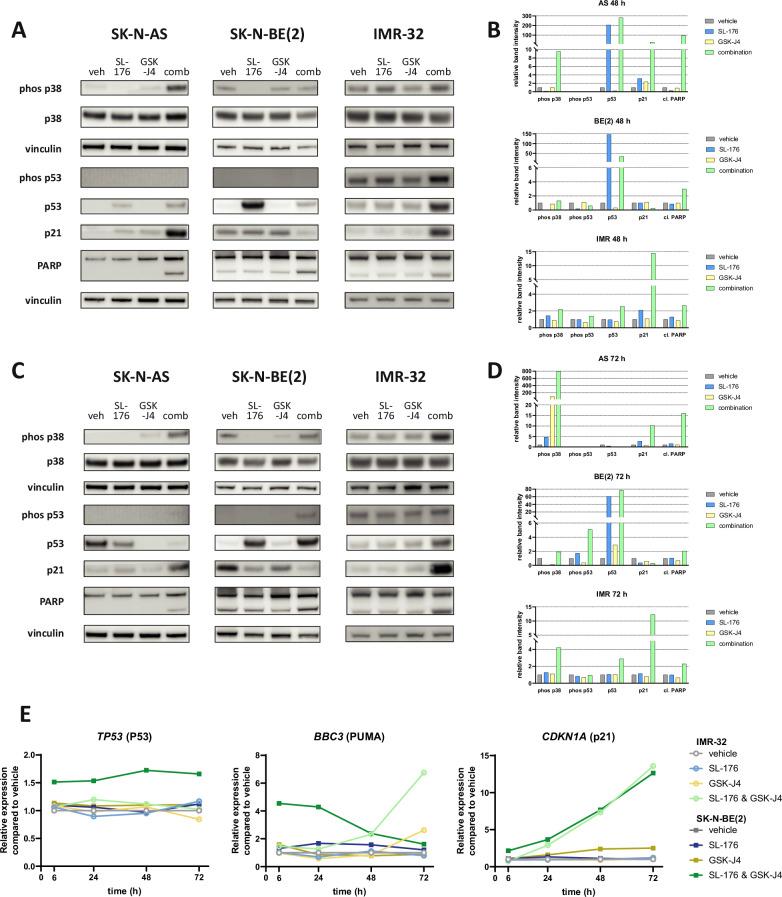 https://cdn.ncbi.nlm.nih.gov/pmc/blobs/ac33/12009370/164bda1d72de/41419_2025_7658_Fig3_HTML.jpg