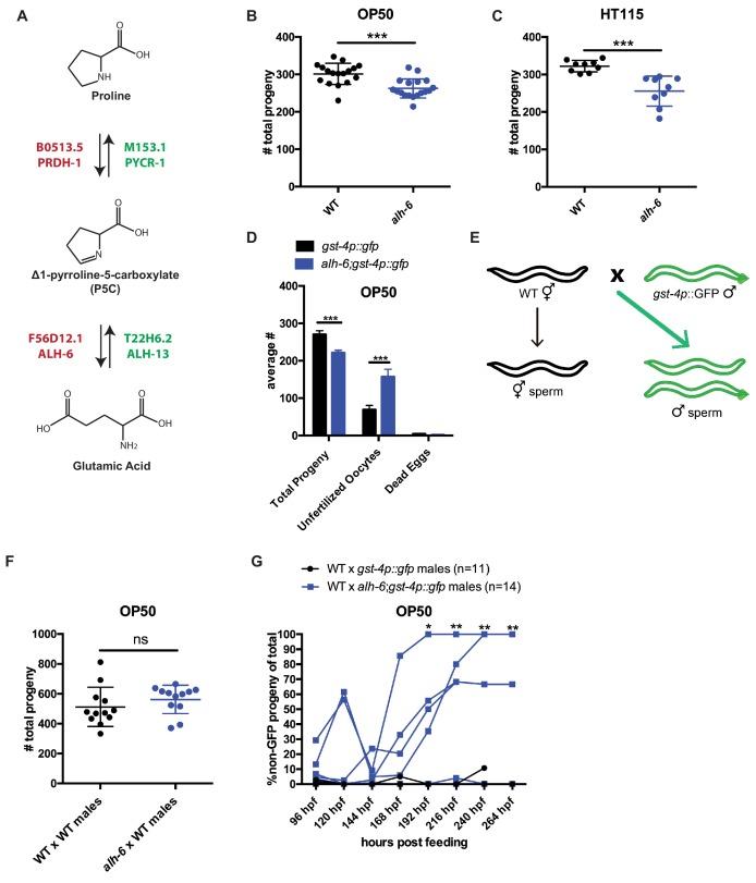 https://cdn.ncbi.nlm.nih.gov/pmc/blobs/ac39/7032928/f0a1cfa36877/elife-52899-fig1.jpg