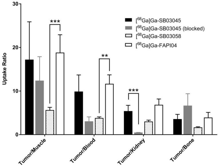 https://cdn.ncbi.nlm.nih.gov/pmc/blobs/ac44/10145249/cefd9b1b3c6b/molecules-28-03481-g005.jpg