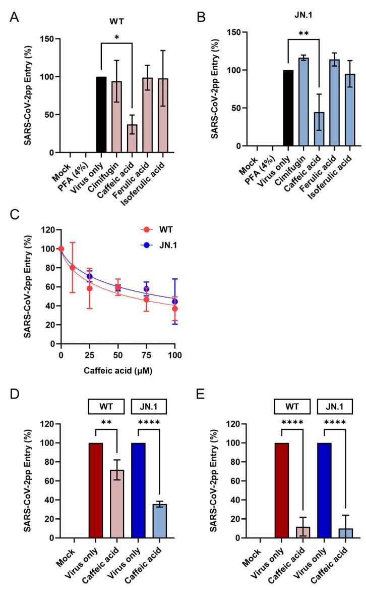 https://cdn.ncbi.nlm.nih.gov/pmc/blobs/ac51/12390720/17d1e9b4aa06/viruses-17-01086-g005.jpg