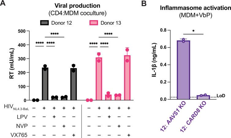 https://cdn.ncbi.nlm.nih.gov/pmc/blobs/ac55/12169848/1287f997b4c7/elife-102676-fig4-figsupp1.jpg