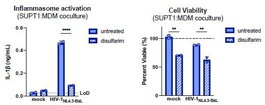 https://cdn.ncbi.nlm.nih.gov/pmc/blobs/ac55/12169848/19d2da8f3542/elife-102676-sa2-fig2.jpg