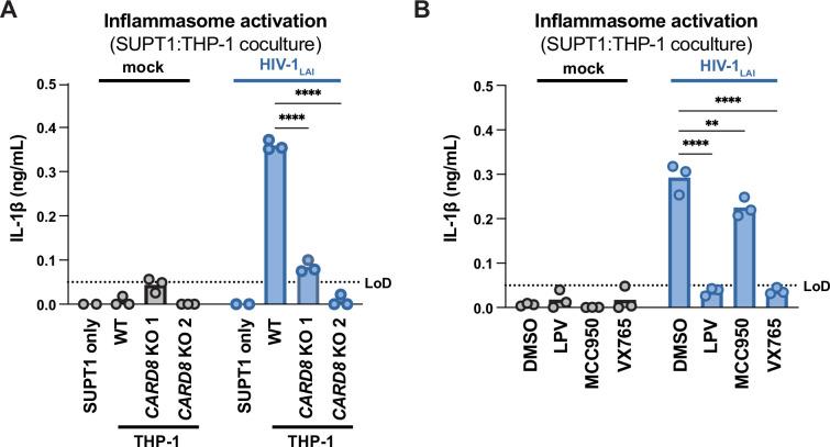 https://cdn.ncbi.nlm.nih.gov/pmc/blobs/ac55/12169848/62c7c6d20481/elife-102676-fig2.jpg